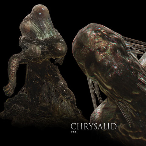 File:Cg chr.jpg