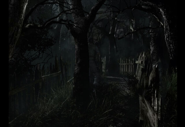 File:Passage to Cabin (9).jpg