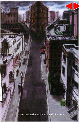 File:Raccoon 20.jpg