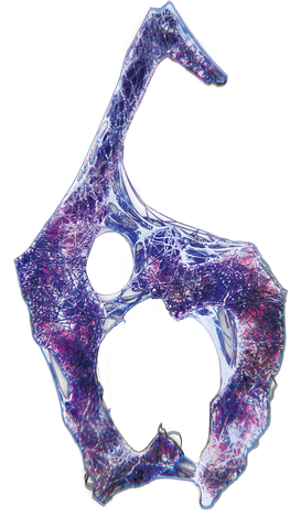 Fichier:RE6 Logo.png