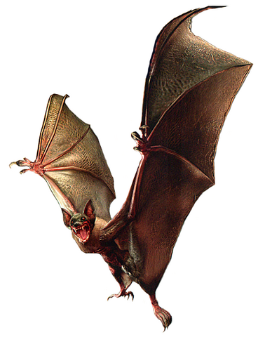 File:RE0Bat.png