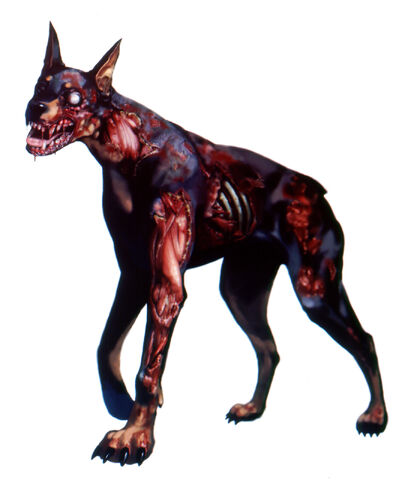 File:Re2 zombiedog.jpg