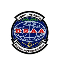 Bsaapatch