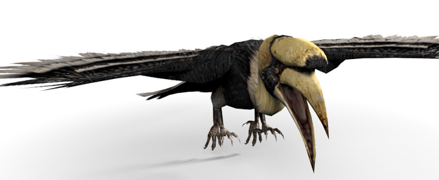 File:Hornbill.png