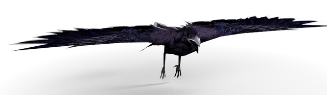 File:Crow-0.png