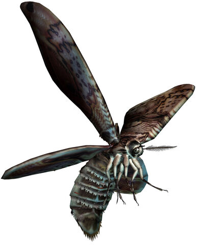 File:Moth.jpg