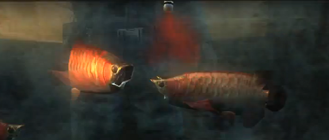 File:Arowanas being infected with t-Abyss.png