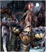 Saddlerataque