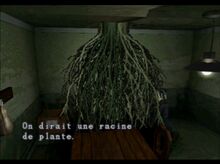 Racines 42