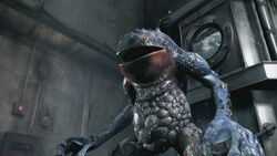 Hunergamma outbreak