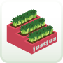 Wheatgrass Garden
