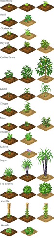 File:Seed.png