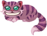 Pet chershire cat