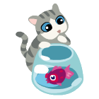 CuriousCat