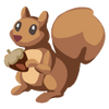 CuriousSquirrel