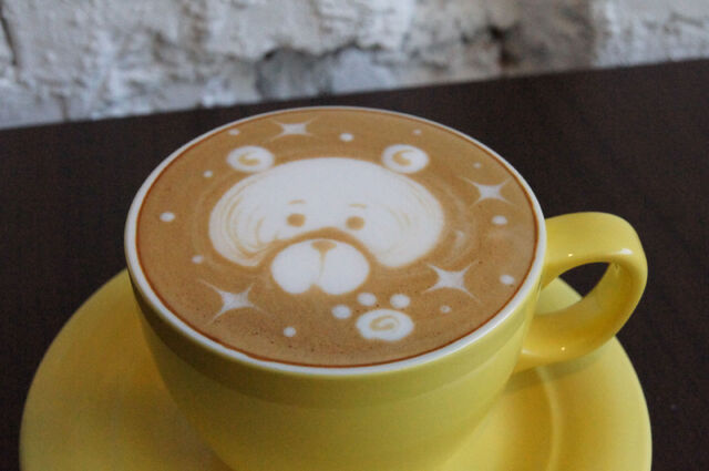 File:Bear-1.jpg