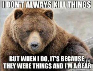 Bearkill