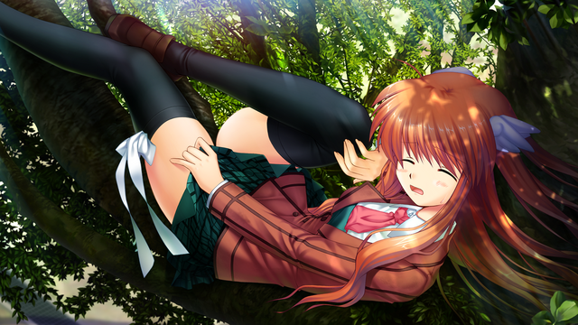 File:FGCH01A.png