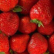Erdbeeren.jpg