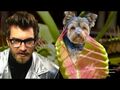 Thumbnail for version as of 01:45, June 25, 2012