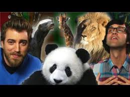 File:Bestanimals.jpg