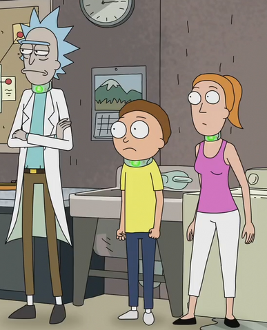 File:TimeStabilizingCollar.png
