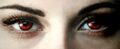 Thumbnail for version as of 23:36, June 29, 2014