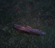 Yew-log