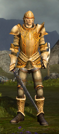 Paladin0