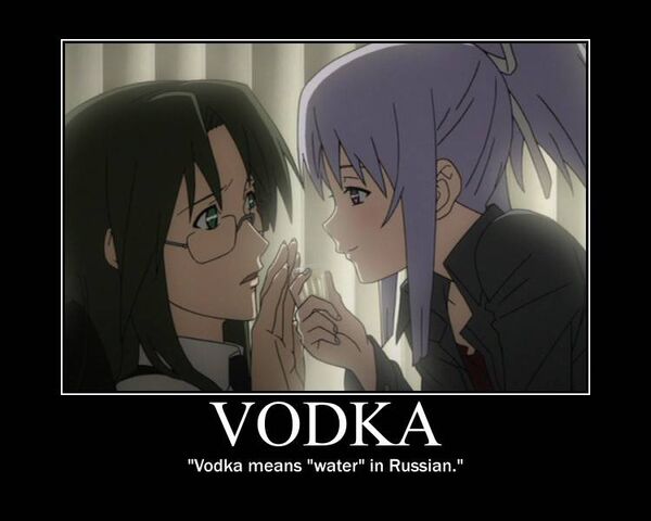 File:Vodka.jpg
