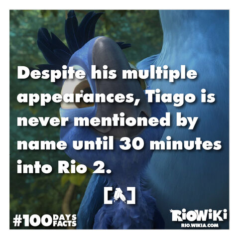 File:Rio-Wiki-100Days100Facts-082.jpg