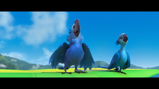 Plik:Blu 0.jpg