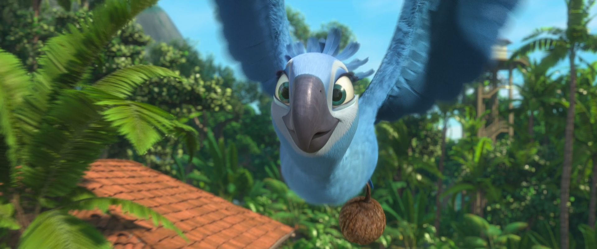 Image Jewel Flying On Rio png Rio Wiki FANDOM Powered By Wikia image-jewel-flying-on-rio-png-rio-wiki-fandom-powered-by-wikia