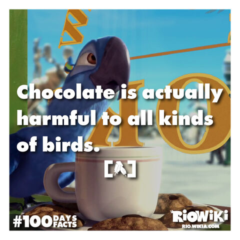 File:Rio-Wiki-100Days100Facts-004.jpg
