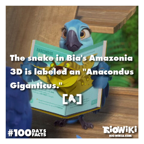 File:Rio-Wiki-100Days100Facts-084.jpg