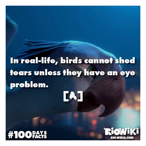 File:Rio-Wiki-100Days100Facts-091.jpg