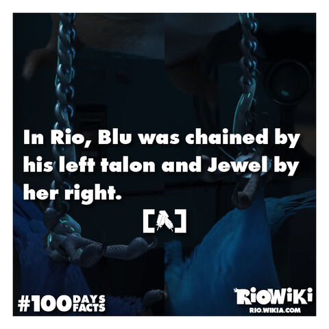 File:Rio-Wiki-100Days100Facts-083.jpg