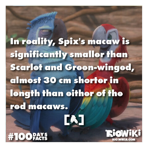 File:Rio-Wiki-100Days100Facts-039.jpg