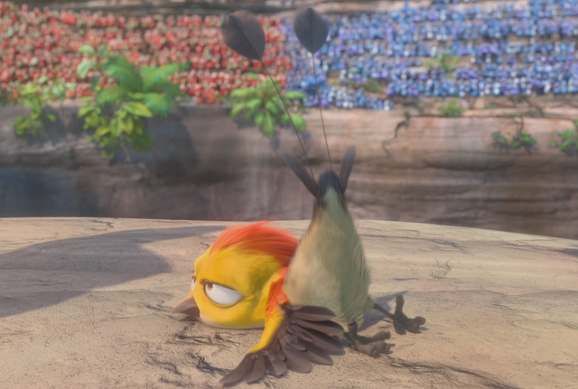 File:Coin toss bird infobox.png