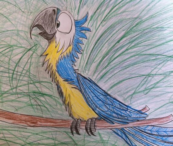 File:Blue and yellow macaw.jpg
