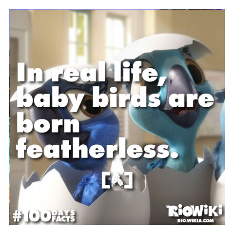 File:Rio-Wiki-100Days100Facts-030.jpg