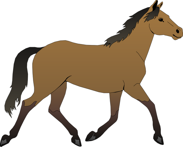 Archivo:Caballo.png