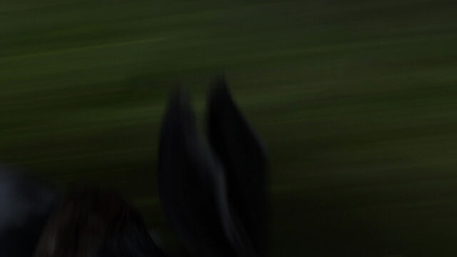 File:Rise-guardians-disneyscreencaps com-734.jpg