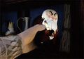 Thumbnail for version as of 20:55, March 28, 2014