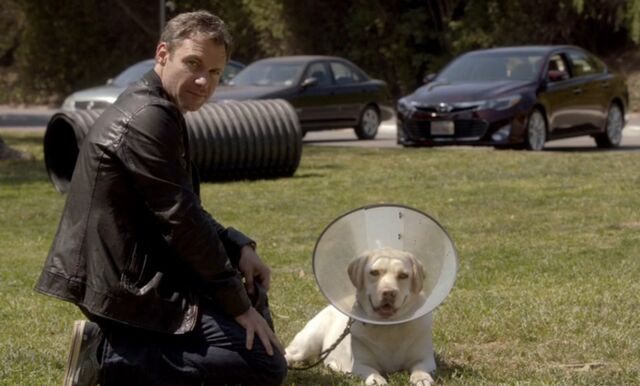 File:4x12.jpg