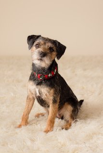 File:Gidget.jpg