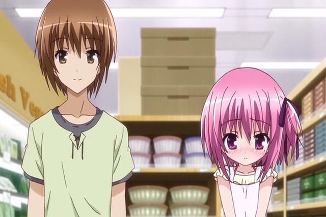 File:Ro-Kyu-Bu! - OVA (DVD 720x480 AVC AAC).mp4 snapshot 12.03 -2013.10.10 11.51.43-.jpg