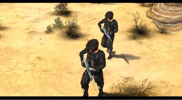 File:Company troop.jpg