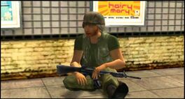 Soldier Lee