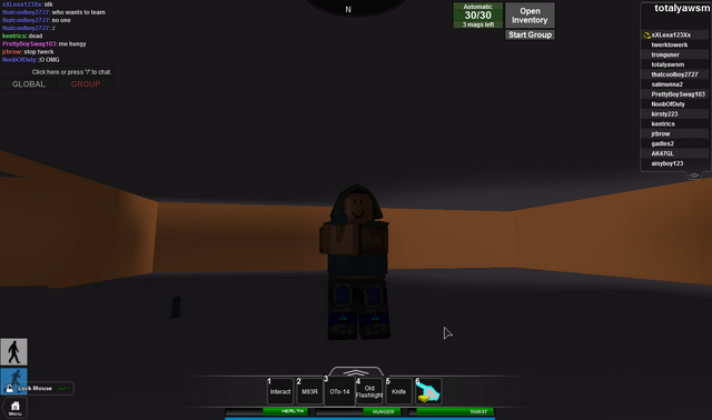 File:RobloxScreenShot05312014 151504552.png